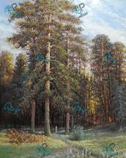 سیرت مریخی:آهو