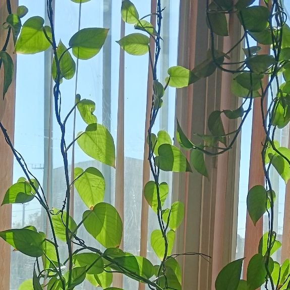 زندگی. 🌱