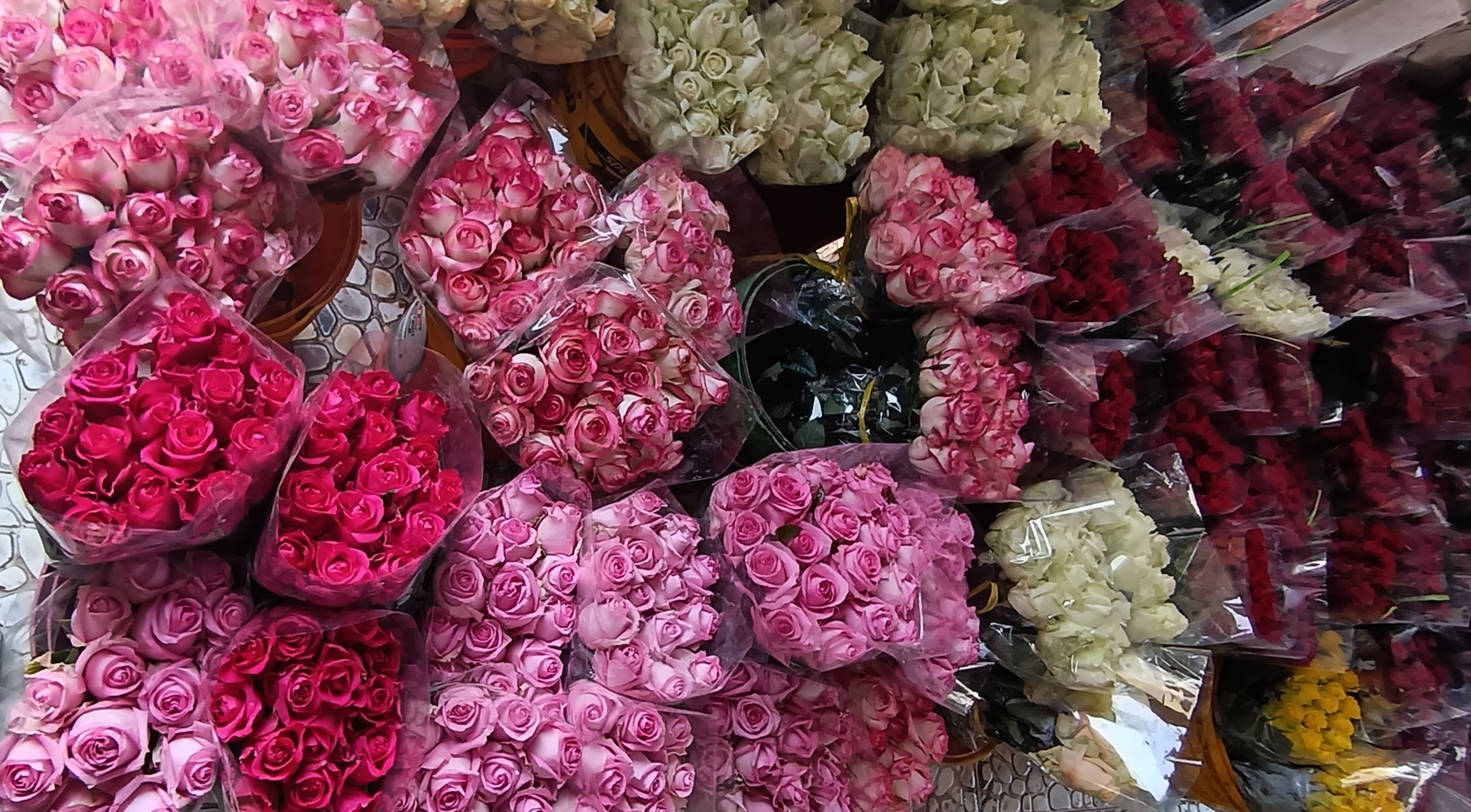 از بهترین جاهای ممکن برای تغییر حال و هوا. 🌱😍