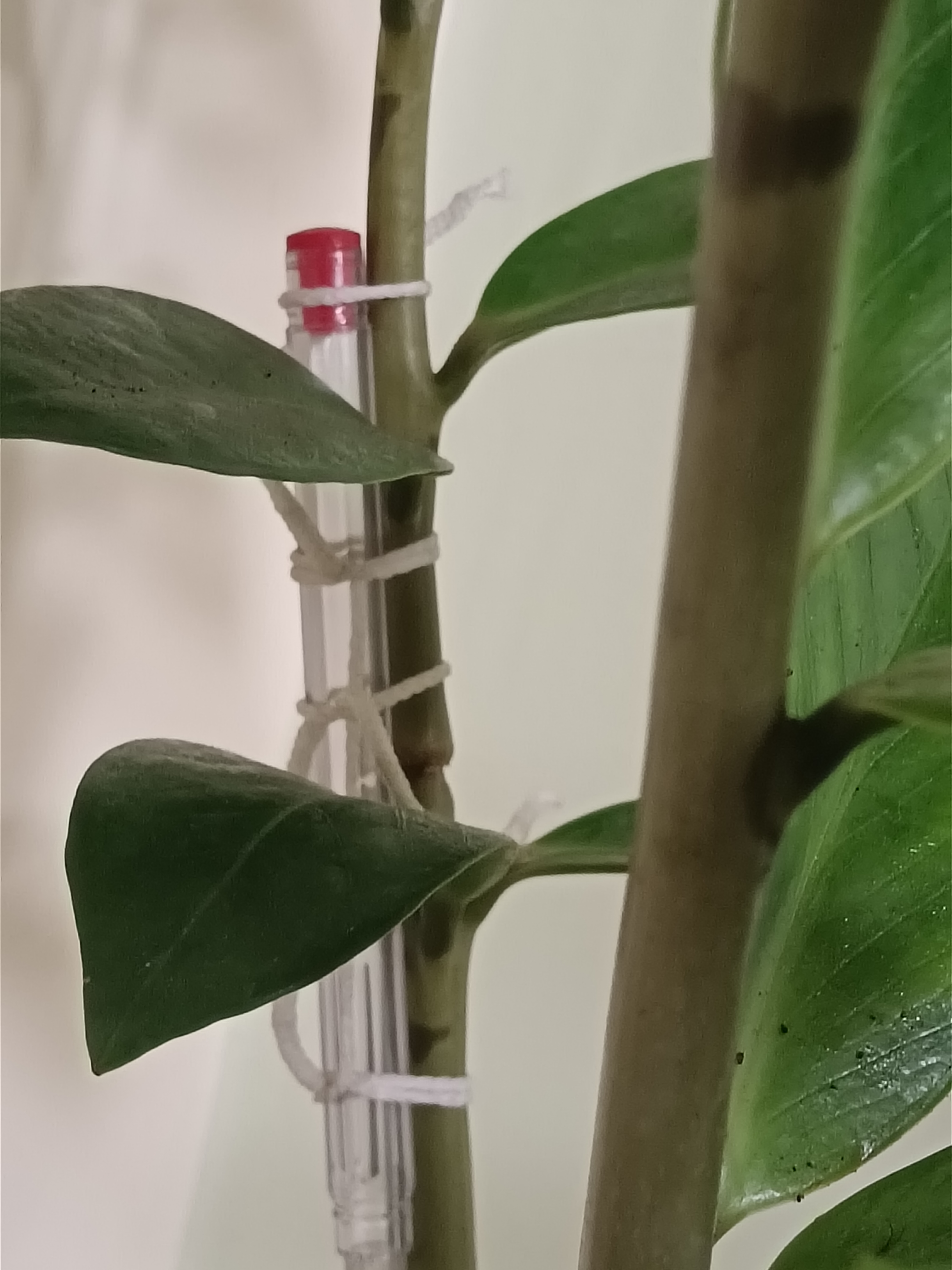 تاب‌آوری اگه عکس بود: