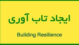 تاب آوری همبسته باورهای کارآمد است