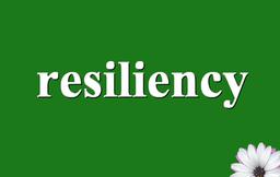 پایگاه تخصصی تاب آوری ایران