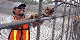 میلگرد ضد زنگ به طرز چشمگیری امید به زندگی را افزایش می دهد