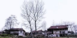 داستان یک خداحافظی