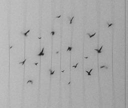 دیالوگ های دلنشین من