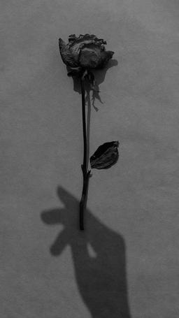 ارزش گریستن و خندیدن رفت