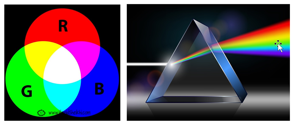 تنوع و تکثر از دل وحدت بیرون می آید