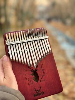 کالیمبا نوازی در پائیز