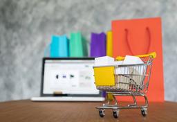 طراحی سایت فروشگاهی اولین قدم جهت رشد کسب و کار شما