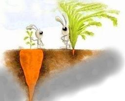 چرایی قضاوت و ارائه راهکار