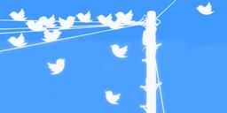 کنکاش در توییتری شدن