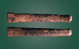 ذهنِ بازگشتی: فضای لگاریتمی و اعدادِ اول