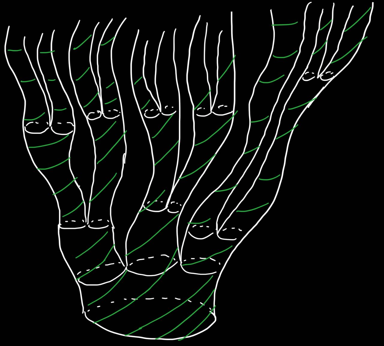 دسته بندی فضای اطلاعاتی از اساس به صورت درختی یا چند فراکتالی است!
