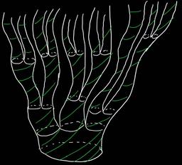 لگاریتم، ادراک و اطلاعات (قسمت ۳)