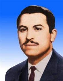 سعید محسن