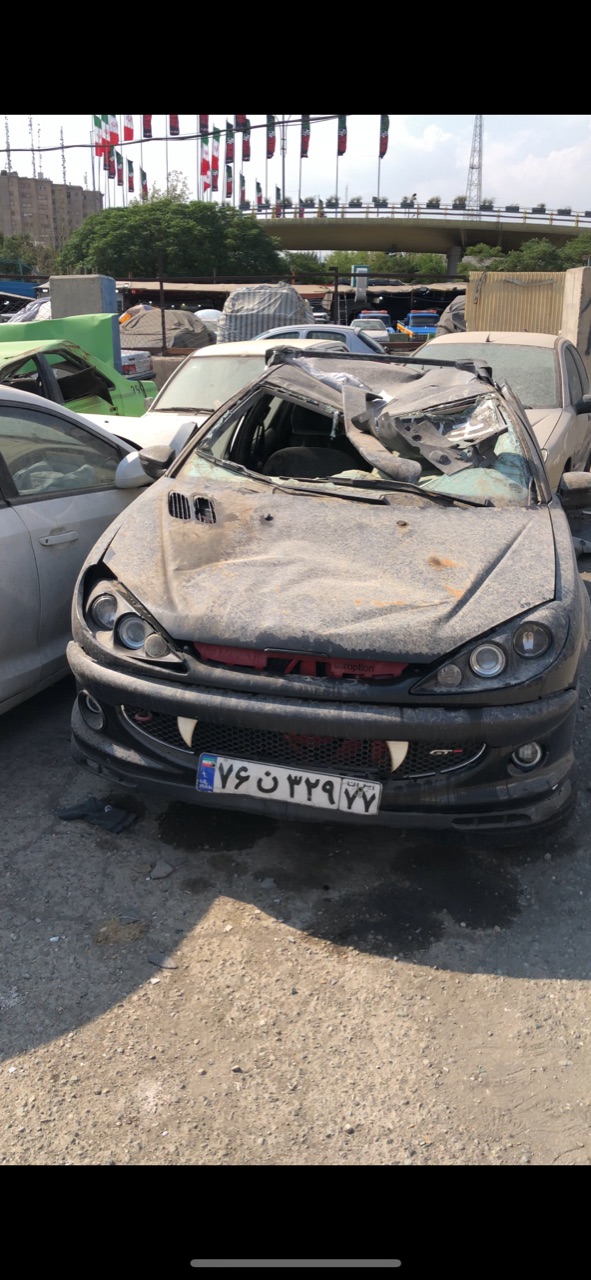 جناب امیرحسین علی نژاد صاحب خودرو پژو ۲۰۶ مشکی اسپرت که او ۱۷ سالش هست و از ۱۲ سالگی این ماشین زیر دست خودش بوده و تا به الان به هر نوعی که دوست داشته اون رو اسپرت و بزک کرده او بسیار فرد پولداری هست و میگویند اقا زاده هست!! پدر او دارای شرکت نفت در منطقه ۶ تهران هست و او همیشه تحت نظر حمایت پدر و مادرش بوده و او را همیشه تشویق کردن اما او ماه ۲۰ خرداد ساعت ۸ شب با ۱۵۰ تا سرعت در بزرگراه جلال ال احمد واژگونی و منجر به چپ میشود!!!!!!! و سرنشین شاگرد ماشین او جناب علی نووی که اونم جوان ۱۶ ساله ایی بود که بدون کمربند داخل ماشین امیرحسین بوده و به طرز عجیبی با معجزه خداوند زنده میمانند و مصدوم یا فوتی برجا نذاشته !