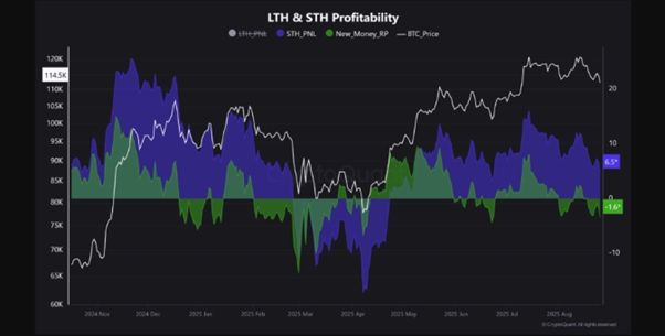 سودآوری دارندگان کوتاهمدت بیتکوین و سرمایهگذاران جدید. منبع: CryptoQuant