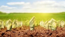 نکات طلایی که برای خرید زمین در هچیرود باید بدانید!