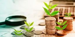 ترفندهای طلایی سرمایه گذاری در آمل که از آن بی خبر هستید