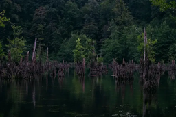 معرفی  کامل 10  جاذبه دیدنی  و توریستی شمال