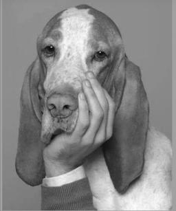 داستان کوتاه