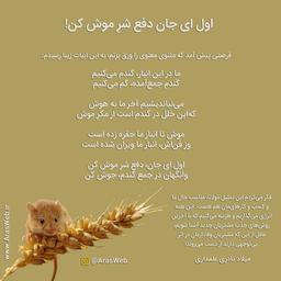 اول ای جان دفع شرِ موش کن!