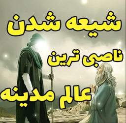 کلیپ شیعه شدن عالم ناصبی مدینه مخصوص اینستاگرام