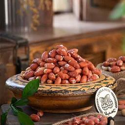 خرید عمده بادام زمینی + تخفیف ویژه