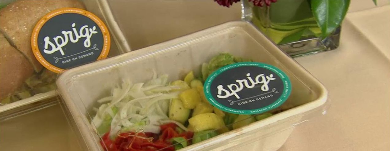 چطور اسپریگ با ۲۶ سرمایه‌گذار شکست خورد؟