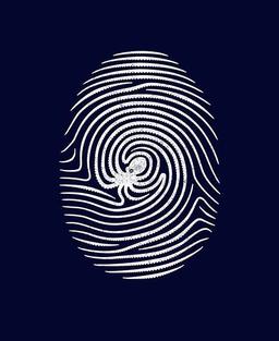 نقش پذیر باش/نباش