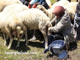 روستای ما قبل دهه ۸۰