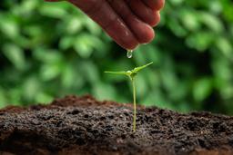 هدف از زندگی چیست و برای چه به دنیا آمده‌ایم؟