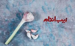 خواص درمانی سیر.!!!!