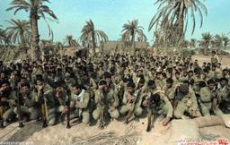 سال اول جنگ