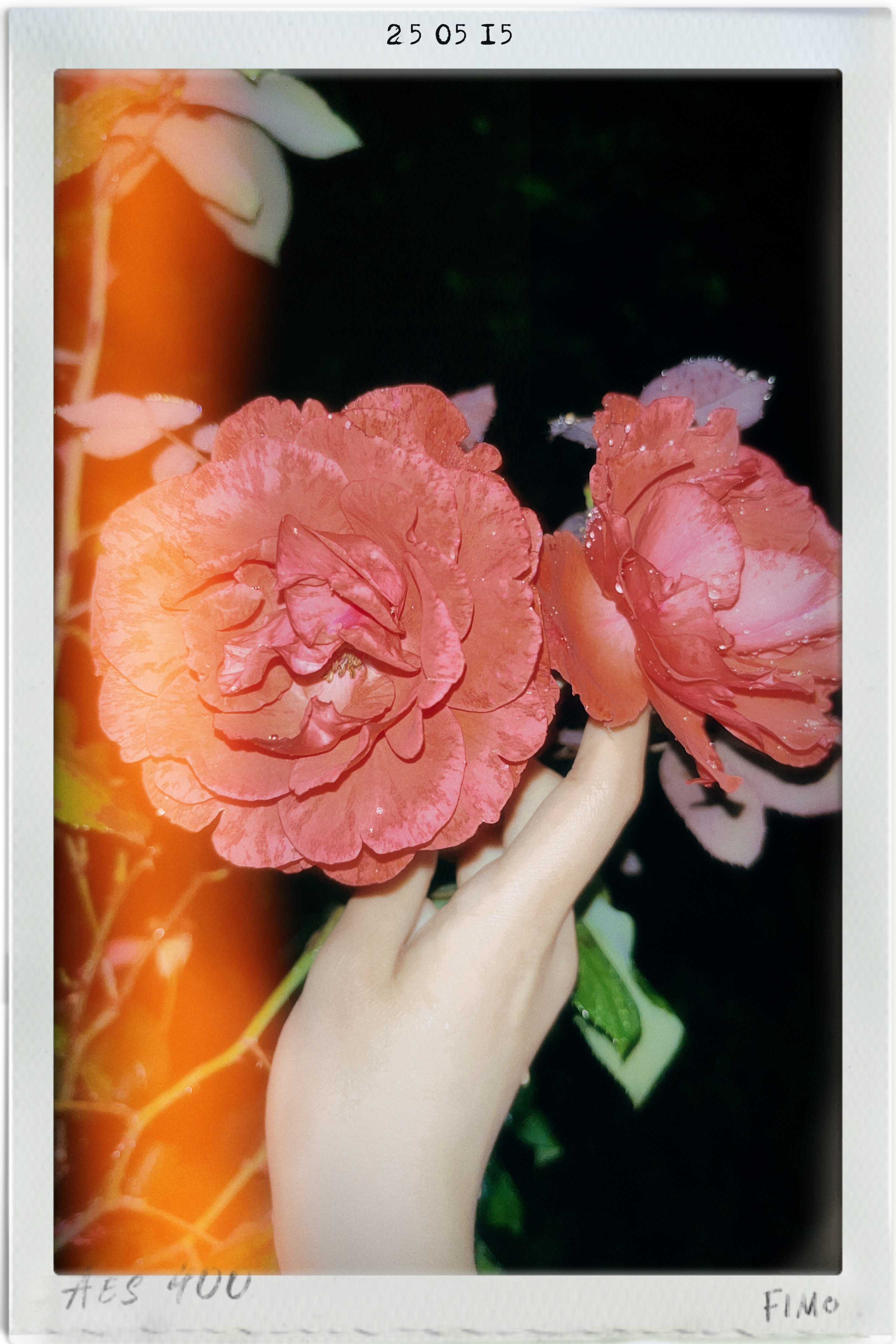 فراتر از مَن دوستّم بِدار...