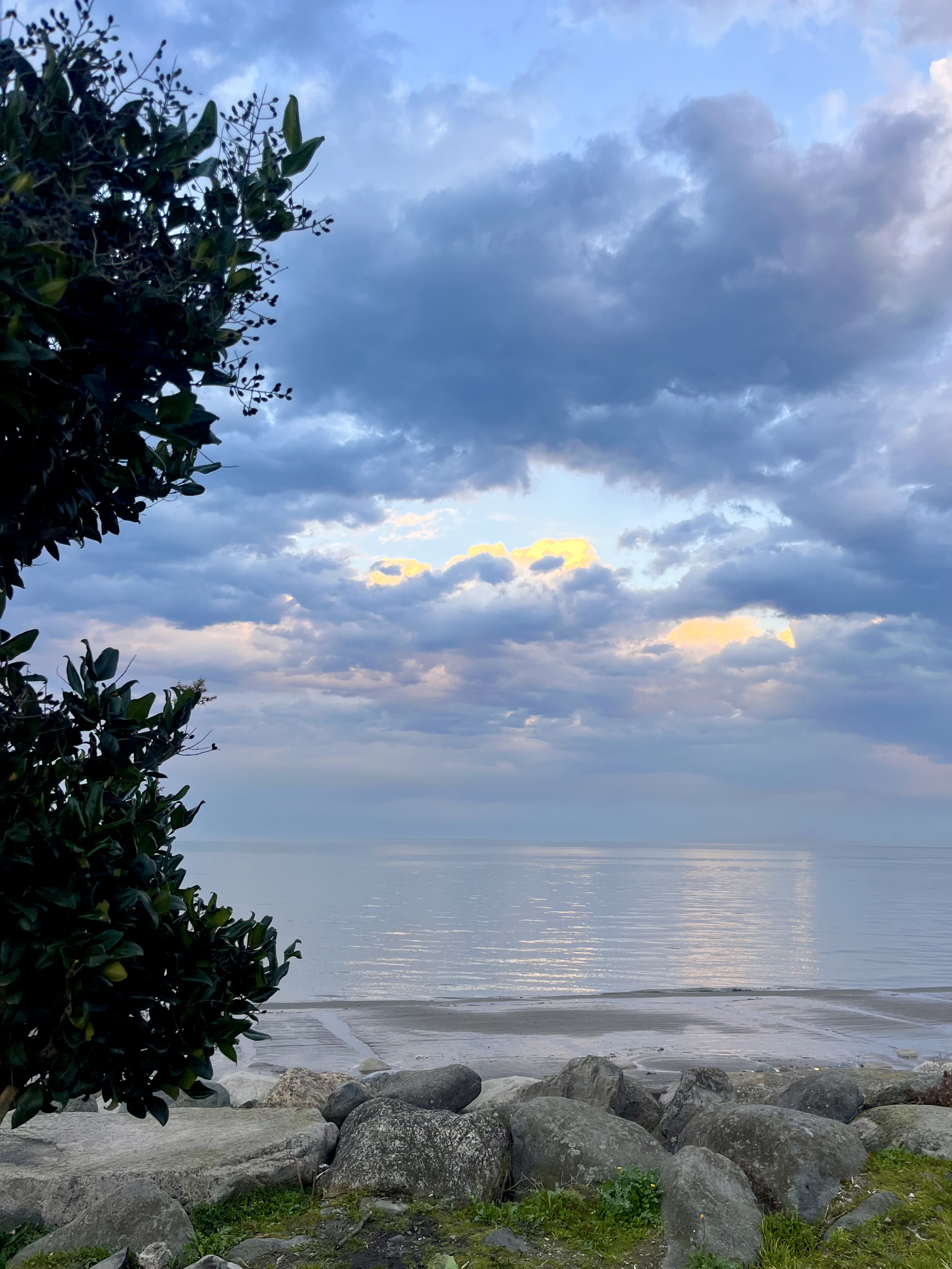 هر کجا طبیعت بود من در آنجا حضور دارم.