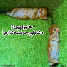 جدایی من از قانون جذب!!!