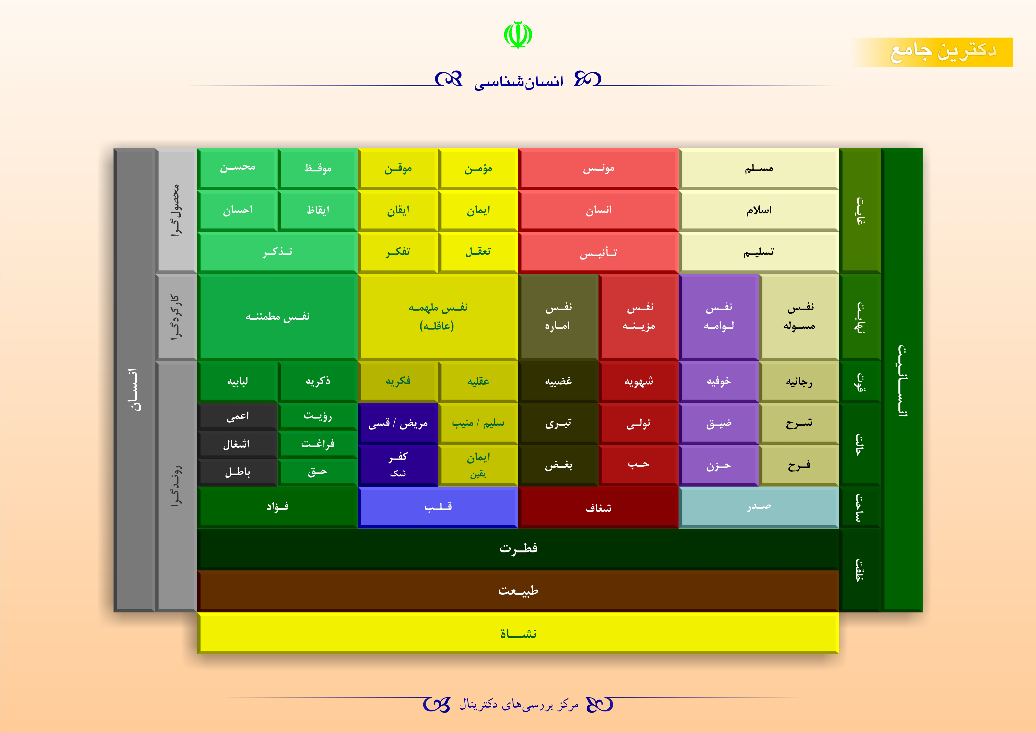 انسان شناسی