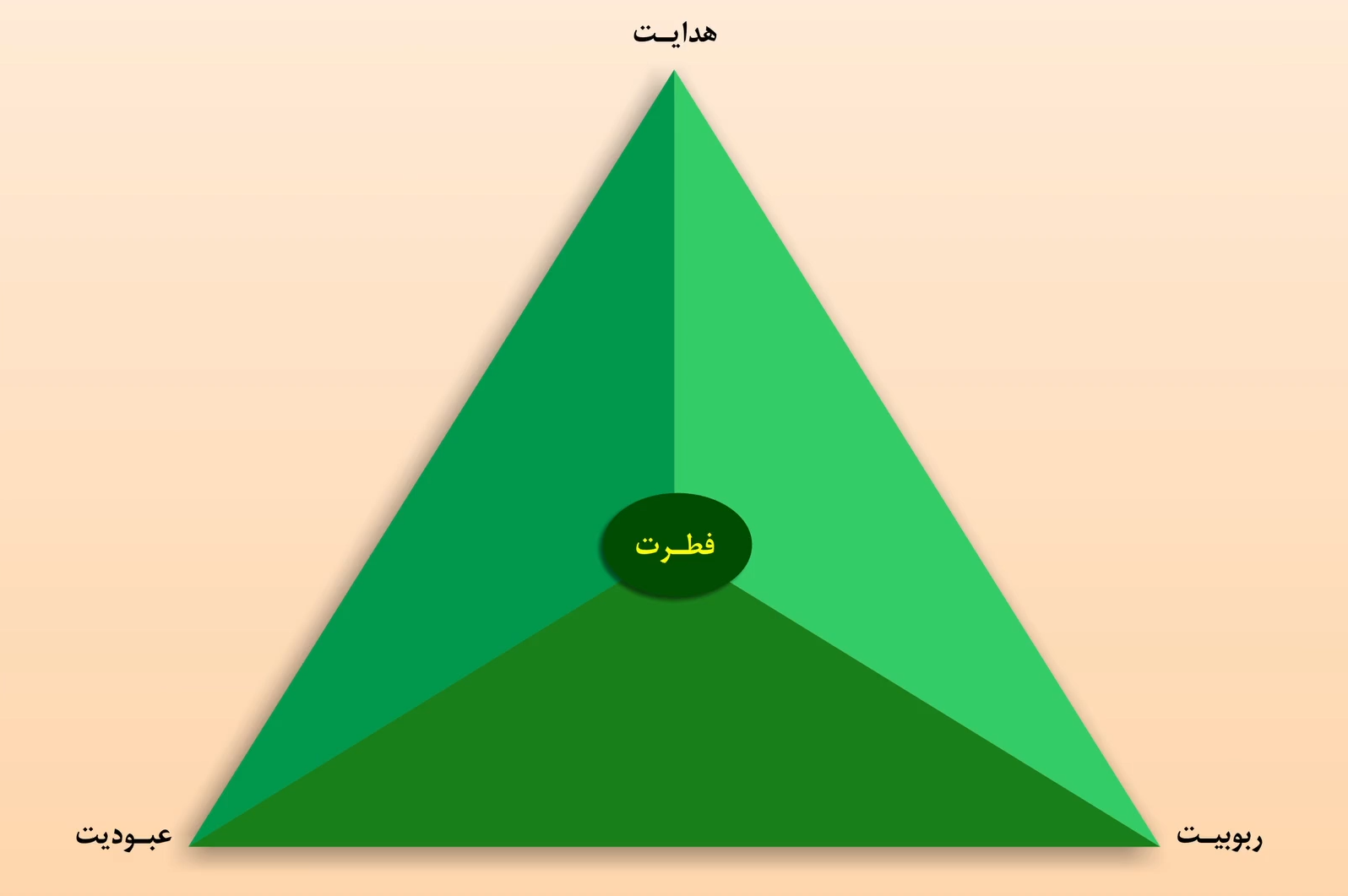 دامنه کارکرد فطرت