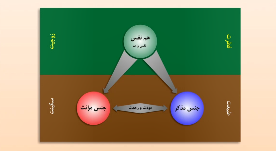 حکمت زوجیت هم نفسی