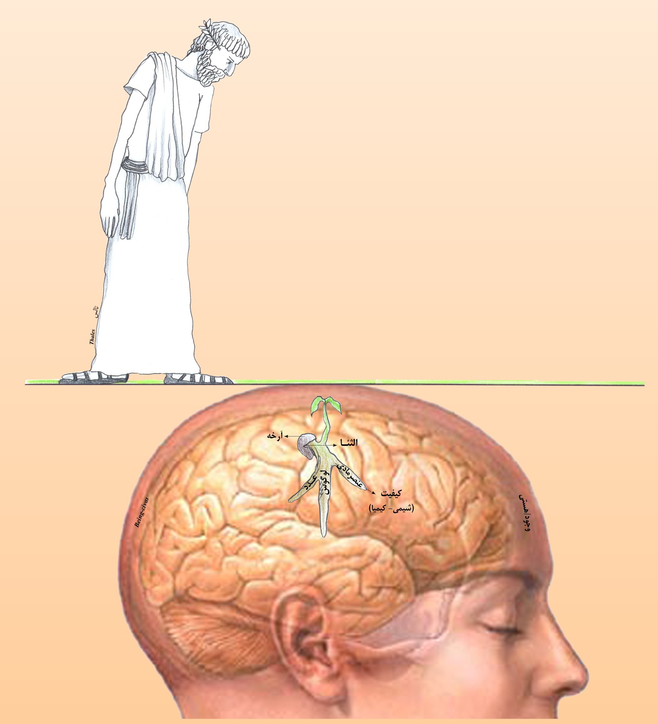 سیر فلسفه VI عنصر