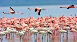 طبیعتی وصف ناپذیر از جاذبه های دیدنی زاغمرز