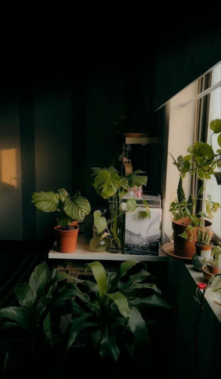 و فهمید چگونه از یک پیام ساده، به یاد دغدغه هایش می افتد