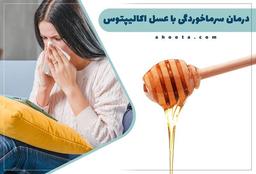با خواص عسل اکالیپتوس آشنا شوید؟