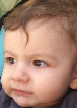 نویان محمدبیگی‌