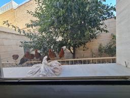 کارهایی که در حال حاضر دوست دارم انجام بدم.