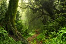 رخداد یا رویداد