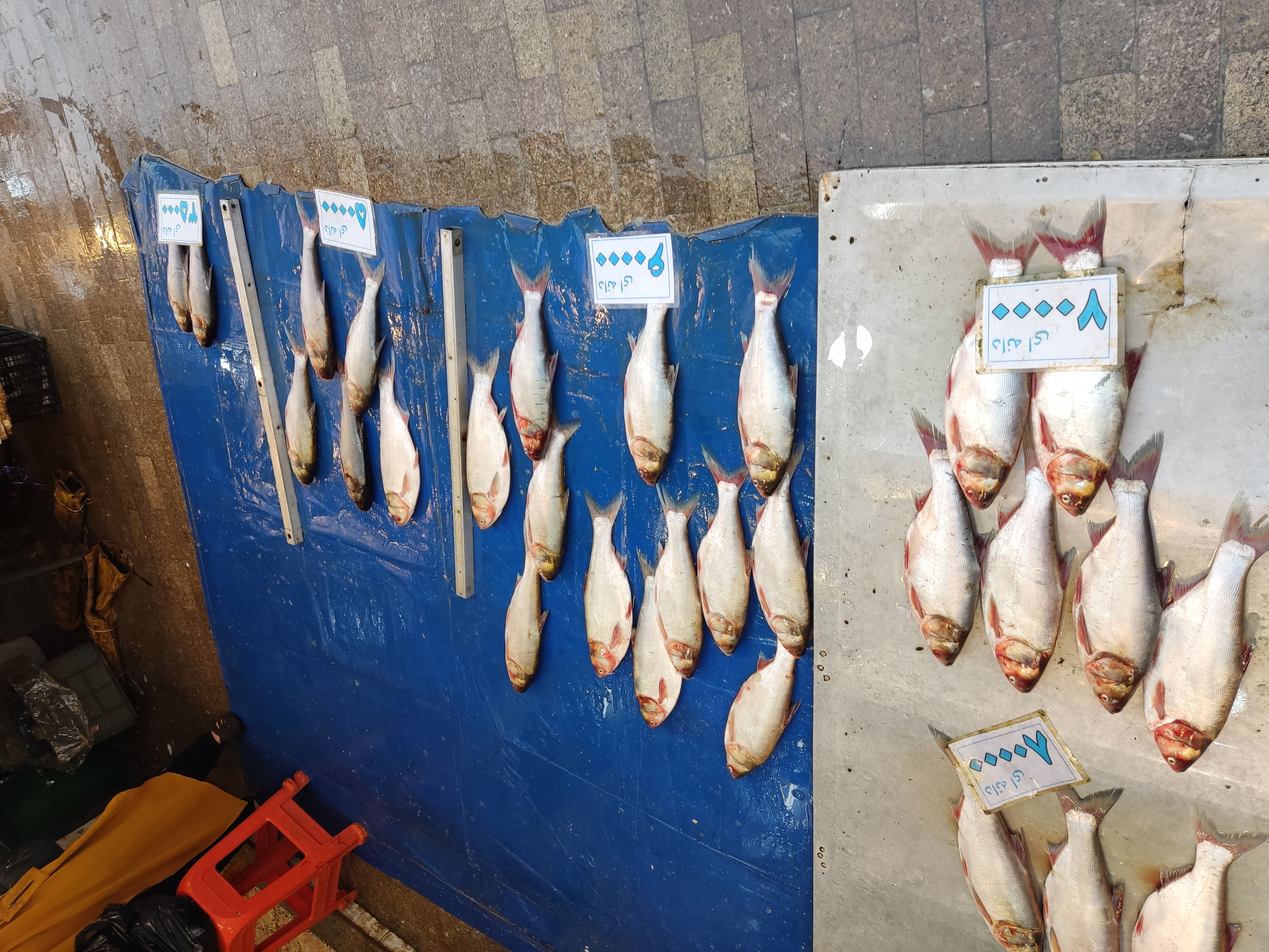 بازار رشت - ۱۴۰۱