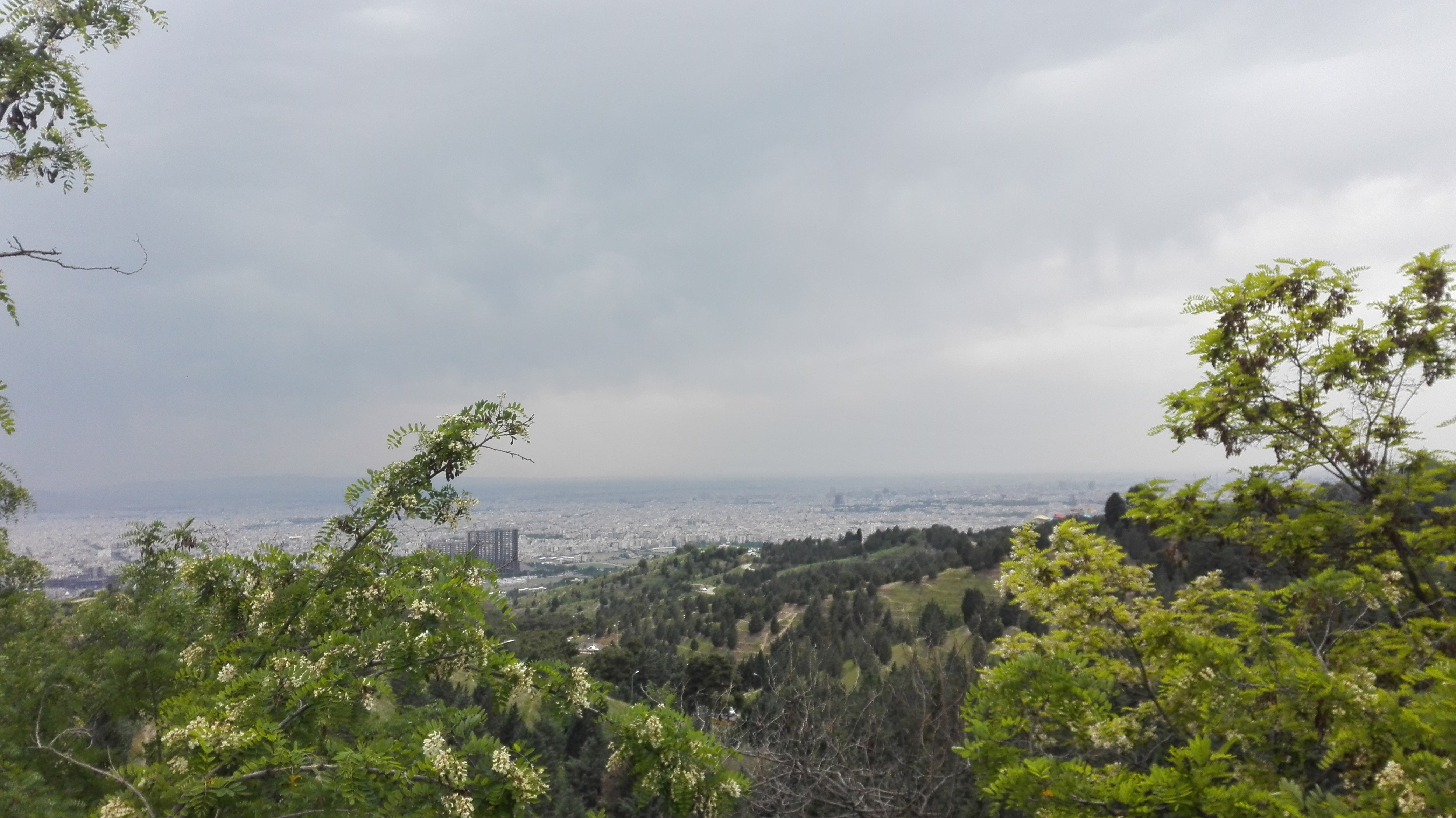 تهران - ۱۳۹۶