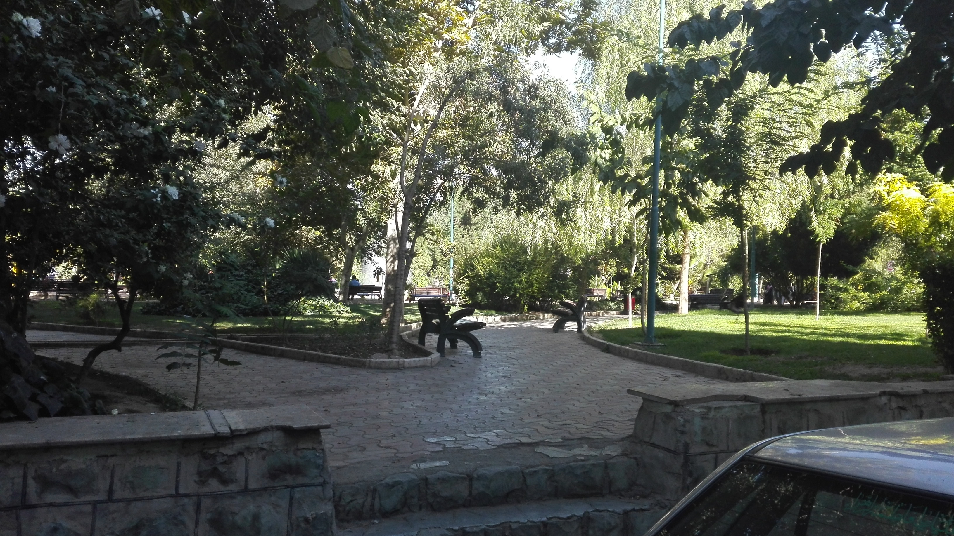 پارک کنار مدرسه